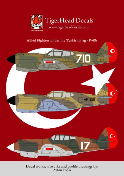 Allied Fighters Under the Turkish Flag - P-40E and P-40B ( 1/72 )
